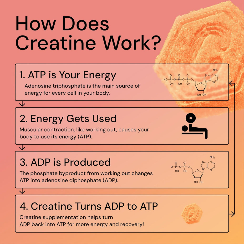Core - Create Creatine Monohydrate Gummies